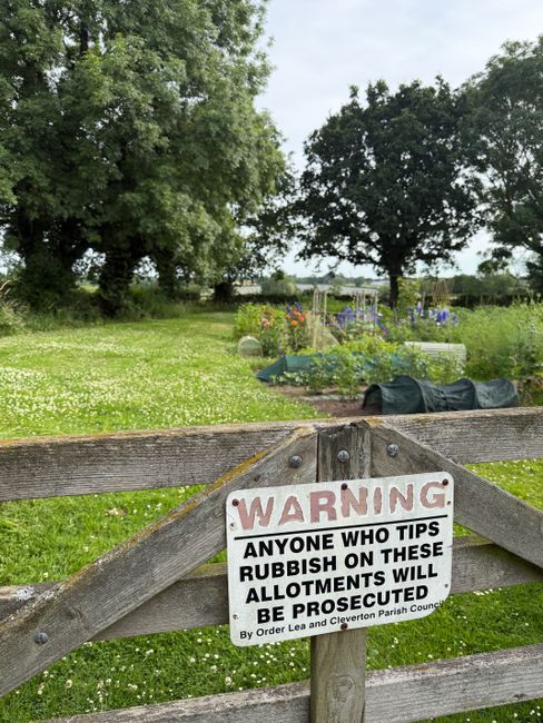A wooden gate with a warning sign attached, situated in a rural outdoor setting. The sign reads, 'WARNING: Anyone who tips rubbish on these allotments will be prosecuted' and is issued by the Cleverton Parish Council. Behind the gate, there are green grassy areas with patches of white clover flowers, a variety of plants, and gardening equipment, including greenhouses and covered beds. Tall trees with dense foliage border the allotments, and a clear sky is visible in the background. The scene suggests a community gardening area or allotment space, situated near a quiet countryside or parkland, with natural surroundings conducive to home relocation and gardening activities. This context aligns with property and living logistics services provided by companies like Man with Van Wallington, especially when considering packing and transportation in house removals. The image emphasizes outdoor space management and community safety notices.