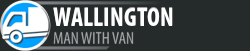 Man with Van Wallington
